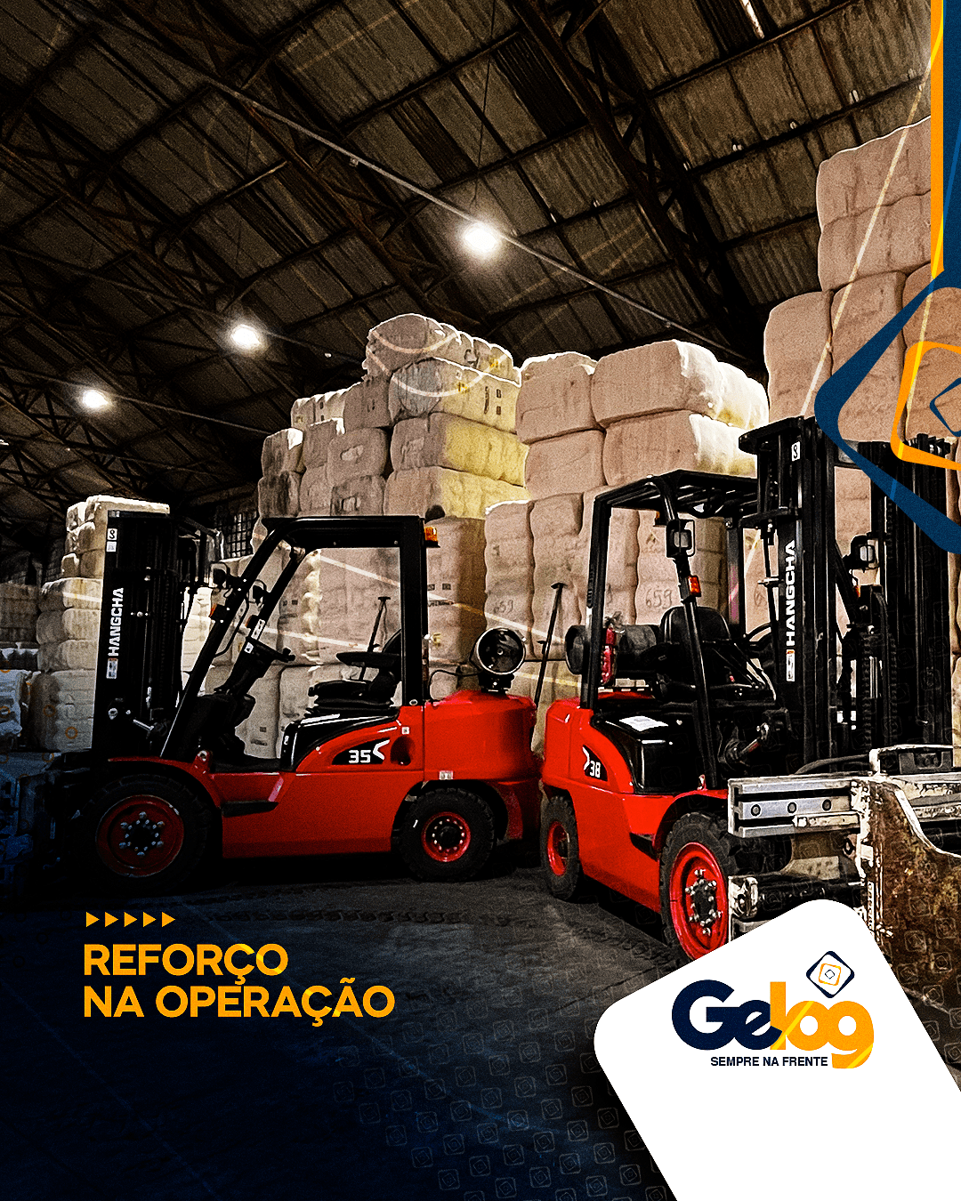 Reforço nas Operações – Grupo Gelog