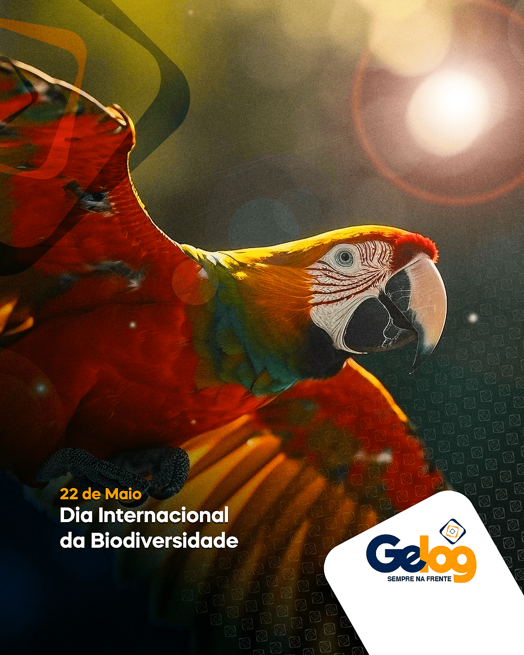 Dia Internacional da Biodiversidade – Grupo Gelog