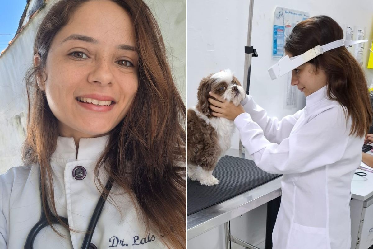 Veterinária reverte perda de visão de cão com lente de contato humana