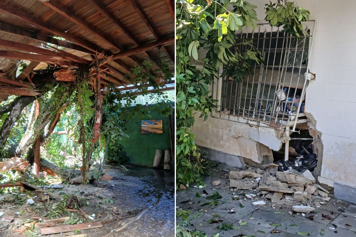 Deslizamento em Bertioga: árvores atingem restaurante no litoral de SP