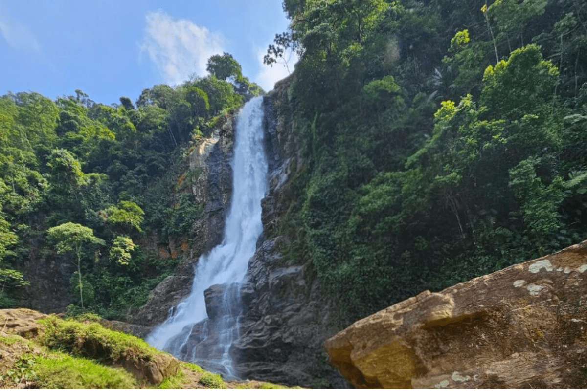 Como Cubatão foi do Vale da Morte ao verde do mundo