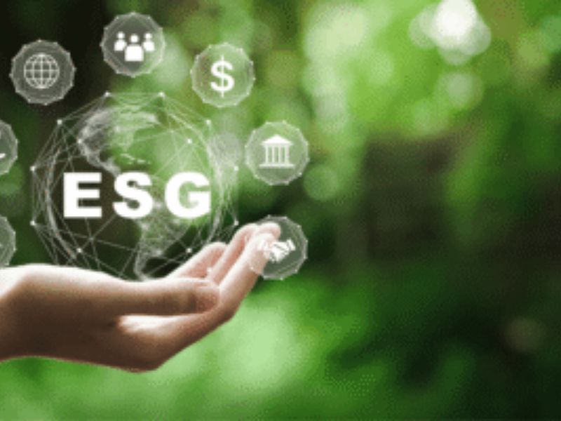 ESG já é prioridade máxima para 85% das empresas brasileiras, aponta estudo da RSM