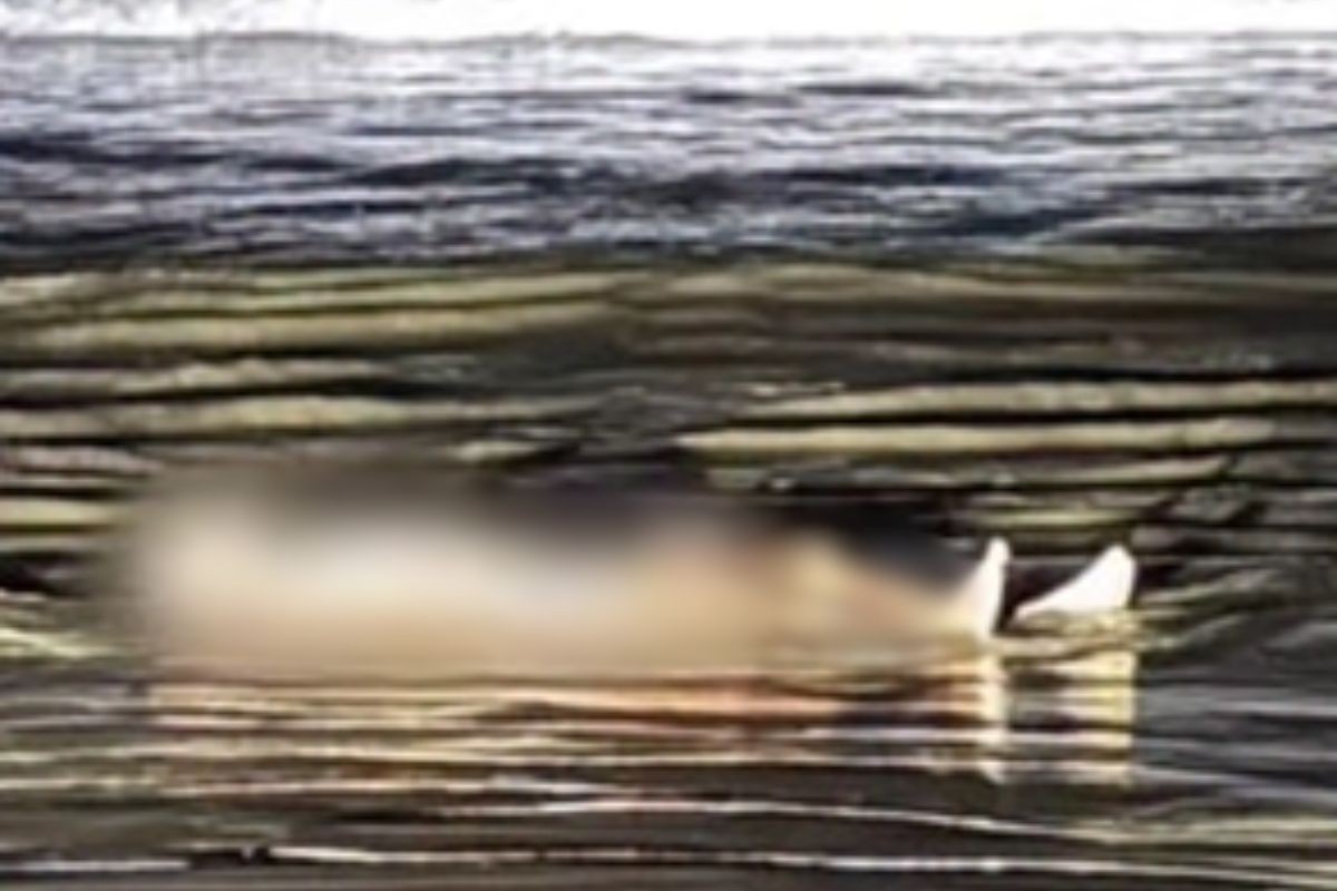 Homem é encontrado morto em praia do litoral de SP