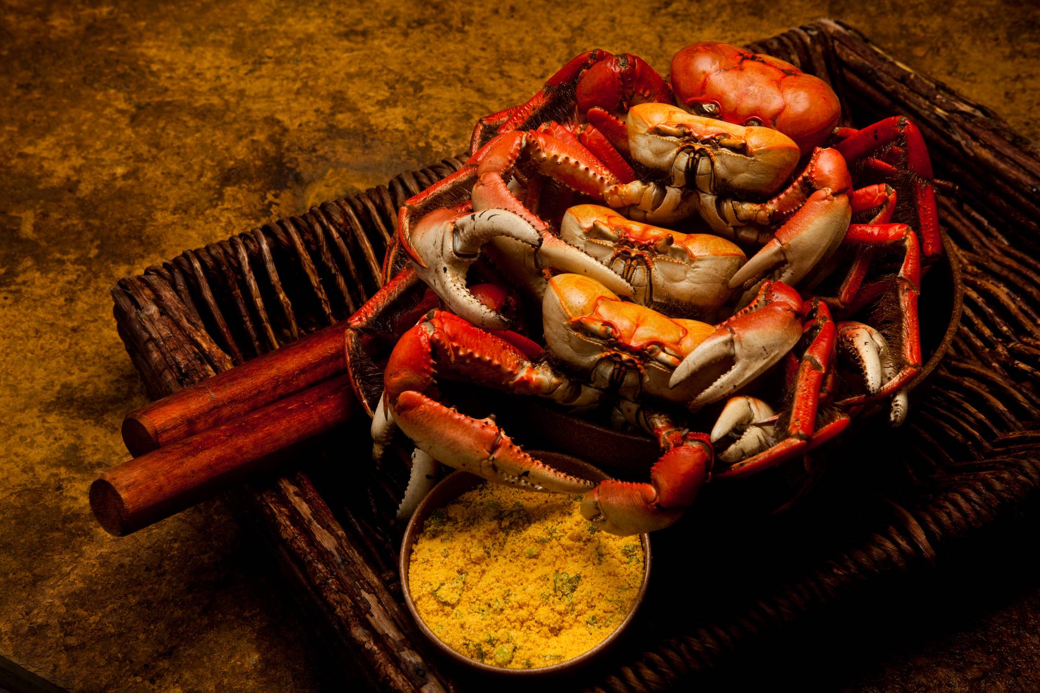 Festival da Cerveja Artesanal com Caranguejo de Santos: tudo sobre a festa