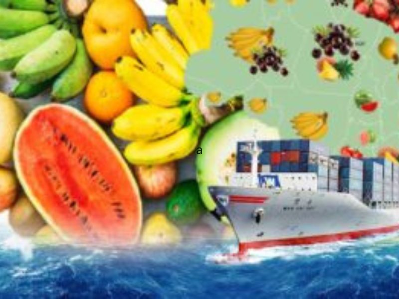 Macfrut 2026: fruticultura brasileira busca expandir as exportações nos mercados da Itália e Canadá