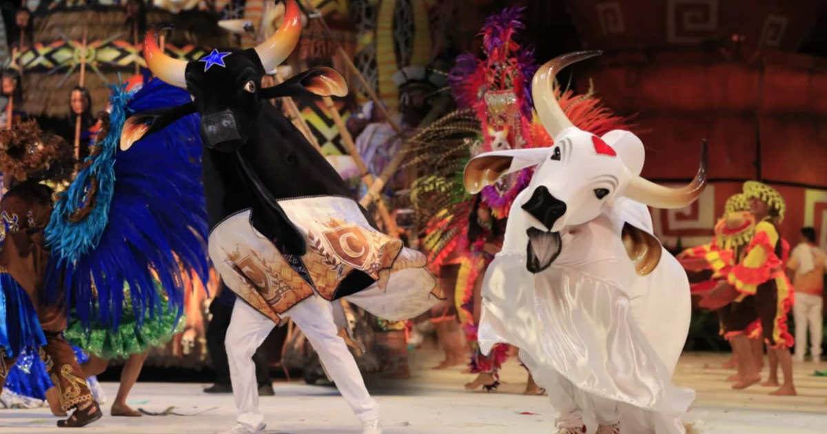 Festival de Parintins: como título é definido entre Caprichoso e Garantido
