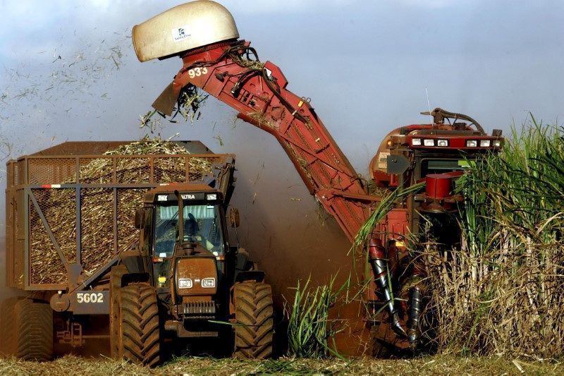 Usinas do Nordeste têm ganhos de até 92,8% na produtividade da cana