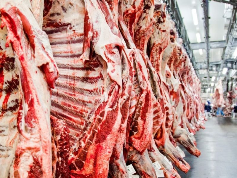 SP Chamber of Commerce: suspensão das exportações de carnes pela UE é sobre documentação, não contaminação