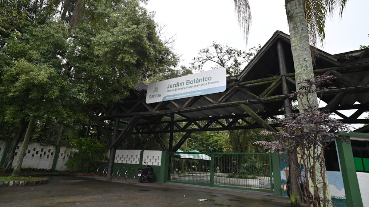 Aniversário do Jardim Botânico de Santos terá shows, plantio de mudas e atrações gratuitas para a família neste domingo (27)
