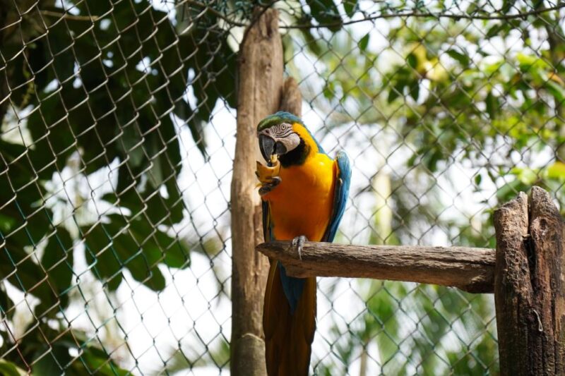 Parque Ecológico de Mongaguá terá programação especial