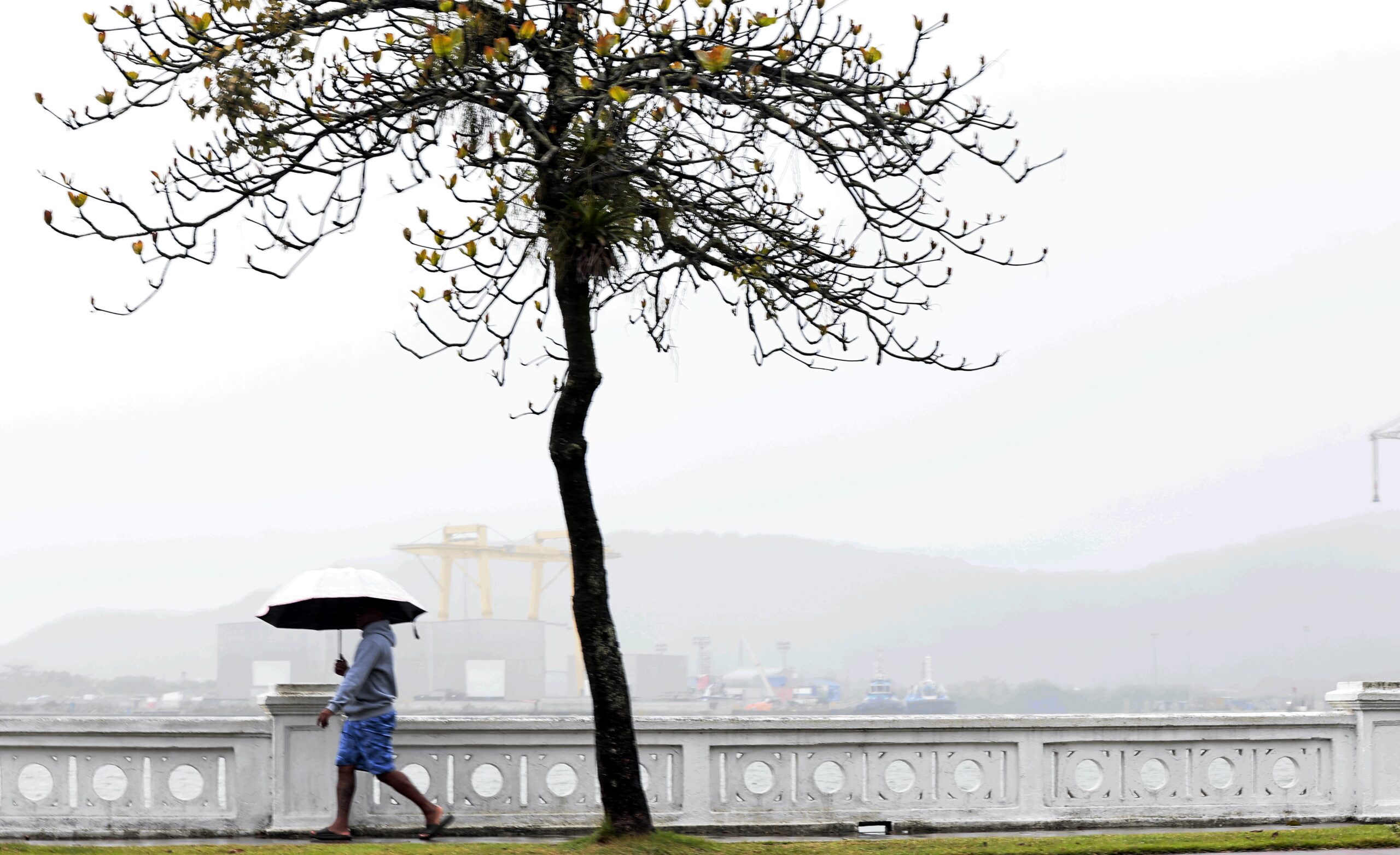Baixada Santista e Vale do Ribeira têm previsão de chuva forte