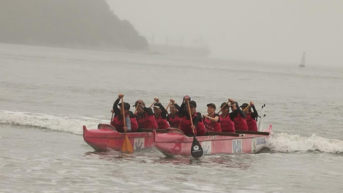 Festival feminino de canoa havaiana reúne remadoras em Santos e homenageia mulheres com câncer de mama